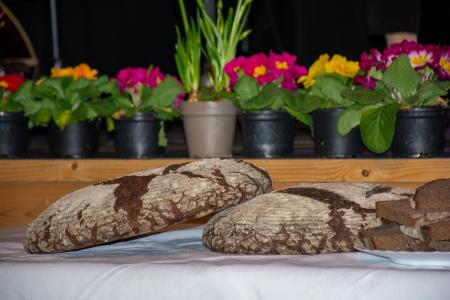 ‘‘Korenine preteklosti, sadovi prihodnosti” (35)